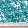 MIYUKI Round Rocailles Beads SEED-X0054-RR2405-4