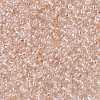 TOHO Round Seed Beads SEED-JPTR15-0169-2