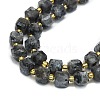 Natural Larvikite Beads Strand G-I376-D67-01-3