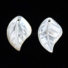 Natural White Shell Pendants SSHEL-S258-100C-2