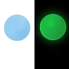 Luminous Food Grade Silicone Beads PW-WG61784-06-1