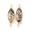 Brass Pave Natural Paua Shell Connector Charms KK-E794-01G-06-1