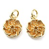 Rack Plating Brass Charms KK-D026-22G-2