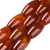 Natural Red Agate Beads Strands G-NH0019-C01-05-1