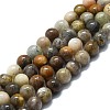 Natural Gemstone Beads Strands G-P457-C02-08-1