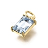 Brass Glass Charms KK-V011-36G-B-2