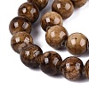 Natural Persian Jade Beads Strands G-A255-A02-05A-3