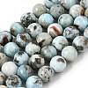 Natural Larimar Beads Strands GG-CBA19D6-A01-10mm-2