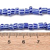 Handmade Lampwork Beads Strands BLOW-K001-01B-14-2