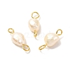 Natural Cultured Freshwater Pearl Beads Links Connectors X1-PALLOY-JF00943-02-2