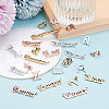 Craftdady 72pcs 6 Sets 6 Style Alloy Pendants FIND-CD0001-10-10