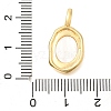 Brass Pave Natural Freshwater Shell Pendants KK-U040-03G-3