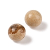 Natural Picture Jasper No Hole Sphere Beads G-K353-04A-15-2