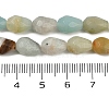 Natural Amazonite Beads Strands G-P520-B10-01A-3