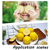 22Pcs 3 Styles Plastic Simulated Lemon DJEW-AR0001-15B-5