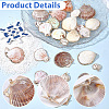 32Pcs 8 Styles Electroplated Natural Mixed Shell Pendants SSHEL-SC0001-62C-6