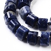 Natural Sodalite Beads Strands G-G801-01-3