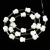 Natural Trochid Shell/Trochus Shell Beads Strands SSHEL-N032-26-2