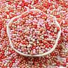 Opaque Baking Paint Glass Seed Beads SEED-K009-01A-26-2