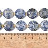 Natural Blue Spot Jasper Beads Strands G-A292-A10-01-6