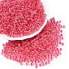 6/0 Transparent Inside Colours Glass Seed Round Beads SEED-N006-004M-1