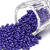 8/0 Glass Seed Beads SEED-US0003-3mm-128-1