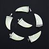 Natural Trochid Shell/Trochus Shell Pendants SSHEL-G024-06P-4