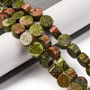 Natural Unakite Beads Strands G-C159-B05-01-2