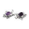 Natural Amethyst Pendants G-P498-03P-22-3