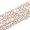 Natural Cultured Freshwater Pearl Beads Strands PEAR-L033-53-1