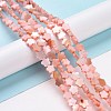 Natural Freshwater Shell Beads Strands SHEL-H002-03D-2