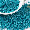 MIYUKI Round Rocailles Beads SEED-X0055-RR4483-1