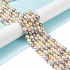Shell Pearl Bead Strands LS-BSHE-L017-17-2