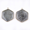 Natural Labradorite Pendants G-T112-19A-2