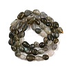 Natural Labradorite Beads Strands G-C250-03-3