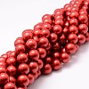 Shell Pearl Bead Strands BSHE-L026-08-12mm-1