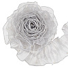Polyester Lace Ribbon OCOR-WH20018-62D-1