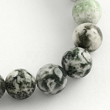 Natural Agate Round Gemstone Beads Strands G-R255-10mm