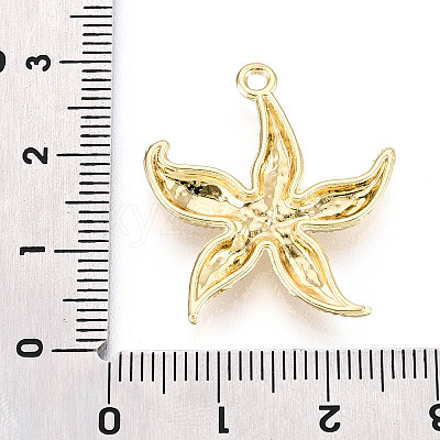 Alloy Pendants FIND-N010-13G-1