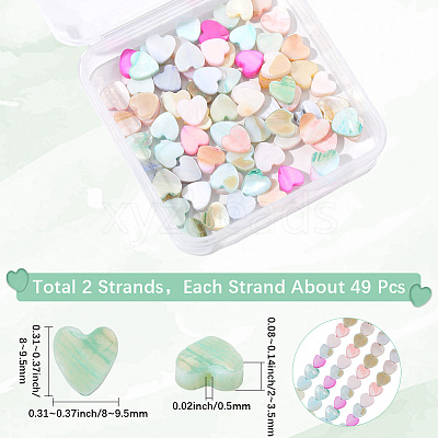 2 Strands Macaron Color Natural Shell Beads Strands SHEL-SC0001-88C-1