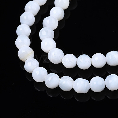 Natural Freshwater Shell Beads Strands X-SHEL-N003-24-A01-1