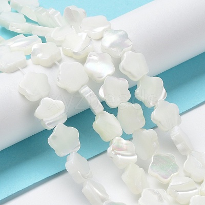 Natural Trochus Shell Beads Strands X-BSHE-P033-07-1