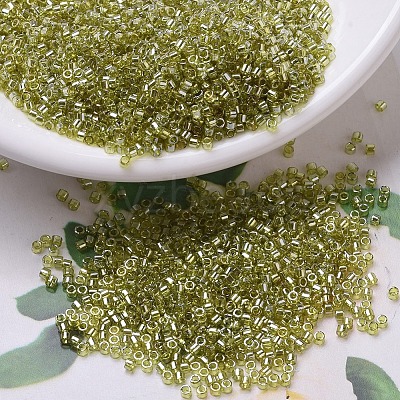 MIYUKI Delica Beads X-SEED-J020-DB0124-1