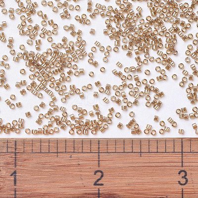 MIYUKI Delica Beads X-SEED-J020-DB1221-1