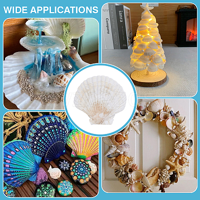 60Pcs Natural Shell Jewelry Decorative Plate AJEW-GA0009-64B-1