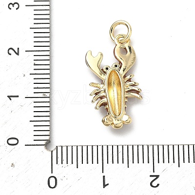 Brass Micro Pave Cubic Zirconia Pendants KK-H255-01B-G04-1