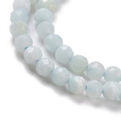 Natural Amazonite Bead Strands G-A129-2mm-20-1