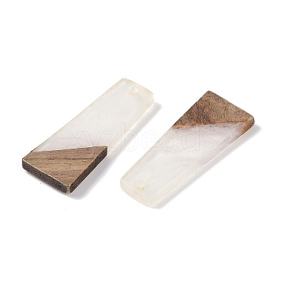 Resin & Wood Pendants WOOD-F015-04D-1