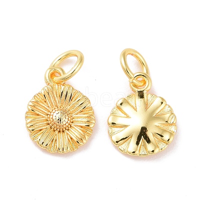 Brass Charms KK-G418-28G-1