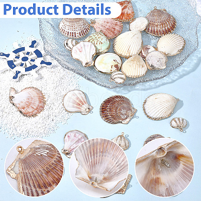 32Pcs 8 Styles Electroplated Natural Mixed Shell Pendants SSHEL-SC0001-62C-1